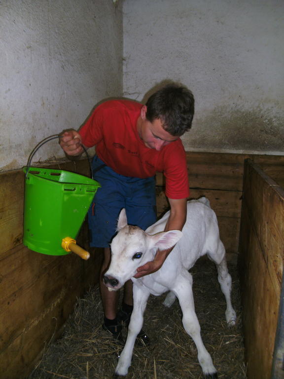 Farm stay Linharterhof Haus im Ennstal