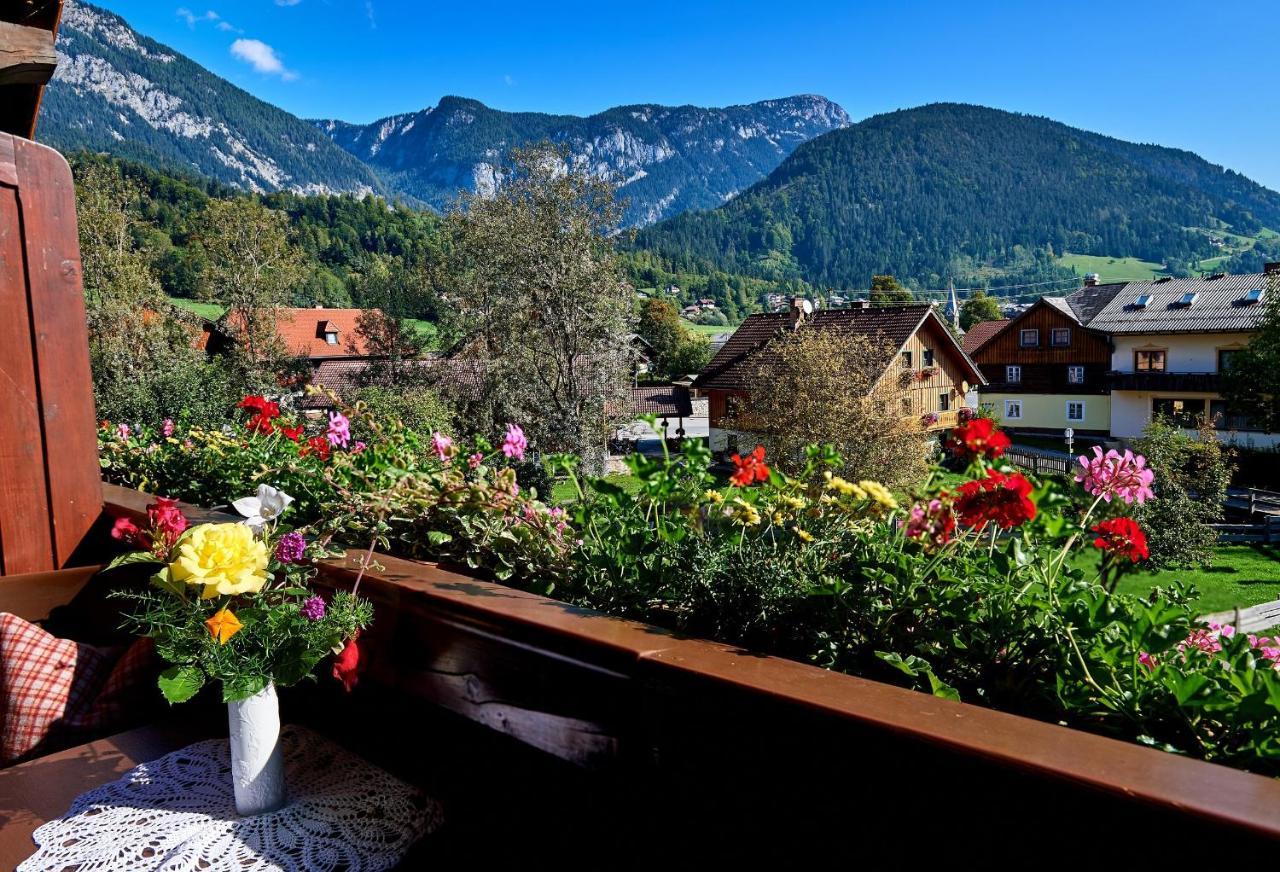 Linharterhof Haus im Ennstal