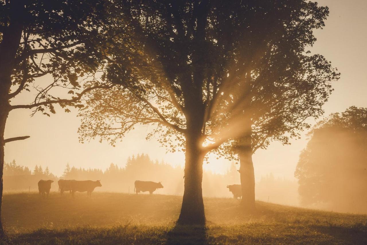 Farm stay Linharterhof *