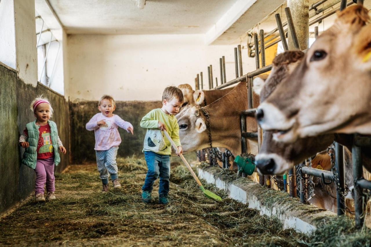 Linharterhof Farm stay Haus im Ennstal